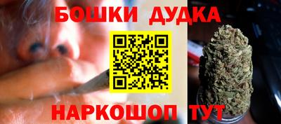 гидропоника Будённовск