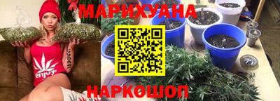 гидропоника Будённовск