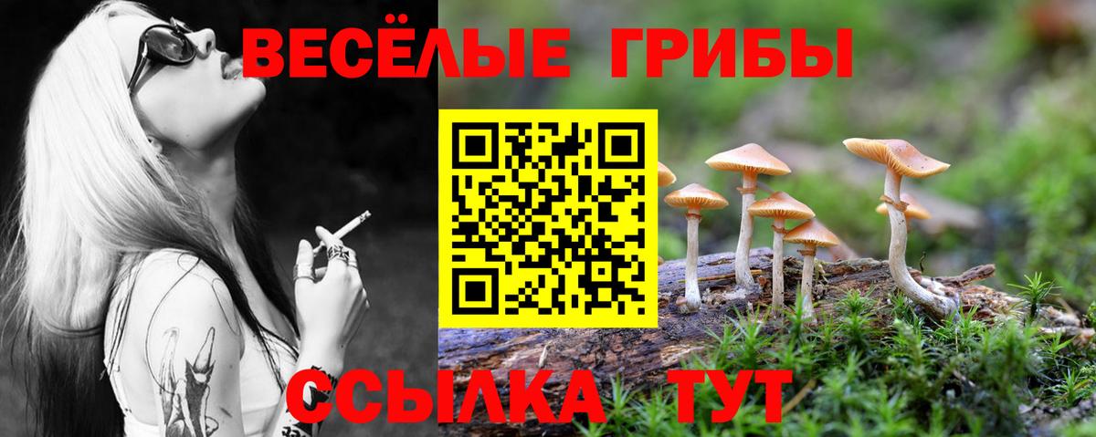 Псилоцибиновые грибы GOLDEN TEACHER Темрюк