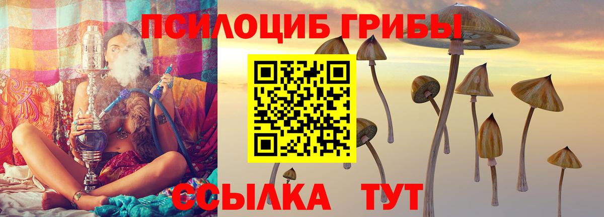 Темрюк  Галлюциногенные грибы ЛСД  Вход с VPN 